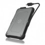 ICY BOX IB-287-C31 Box esterno HDD/SSD Nero, Argento 2.5" (60380)