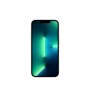 Apple iPhone 13 Pro 1TB Argento (MLVW3QL/A)