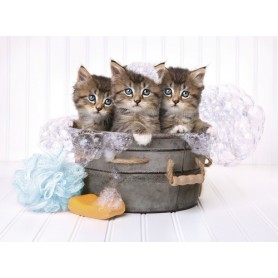 Clementoni Kittens and soap Puzzle 500 pz (35065)