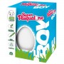 PASQUALONE BOY (PA802000)