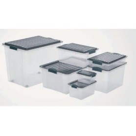 Rotho 1776008812 scatola di conservazione Armadietto portaoggetti Rettangolare Grigio, Trasparente (F717760)