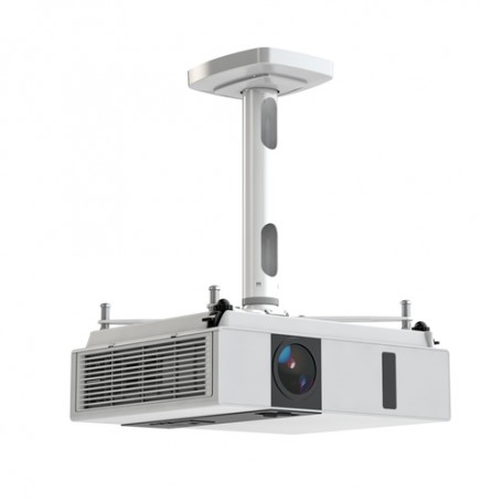 Kindermann 4000000031 supporto per proiettore Soffitto Bianco (4000000031)