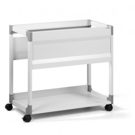 Durable 378410 scatola per la conservazione di documenti Grigio (378410)