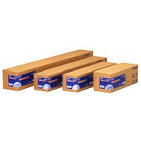 Epson Premium Glossy Photo Paper Roll carta fotografica Lucida premium (C13S042136)