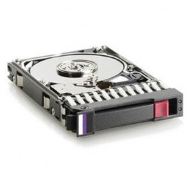 Hewlett Packard Enterprise 146GB 10000 rpm DP FC-AL 3.5" Canale a fibra (300590-002)