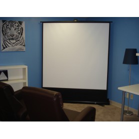 Elite Screens F84XWH2 schermo per proiettore 2,13 m (84") 16:9 (F84XWH2)