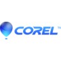 Corel LCTTMLMNA15 licenza per software/aggiornamento 1 licenza/e 1 anno/i (LCTTMLMNA15)