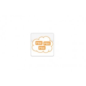 SOFTWARE SERVICE CREDIT (02-00023-005)
