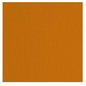 CF10 LR T.BRUC-70X100 (46470119)