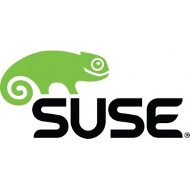Suse Linux Enterprise Desktop, 1Y Client Access License (CAL) 1 licenza/e 1 anno/i (874-006868)