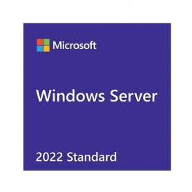WIN SVR 2022 STD ADDL LIC 2C (APOS) (7S05007JWW)