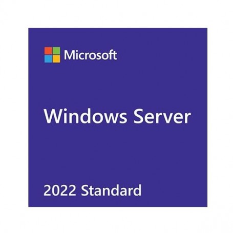 WIN SVR 2022 STD ADDL LIC 2C (APOS) (7S05007JWW)