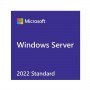 WIN SVR 2022 STD ADDL LIC 2C (APOS) (7S05007JWW)