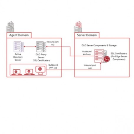 DLO 10USR LIC+ESS MNT 36MO CORP (12039-M0032)