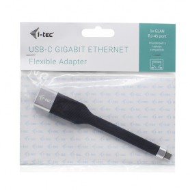 i-tec C31FLATLAN scheda di interfaccia e adattatore (C31FLATLAN)