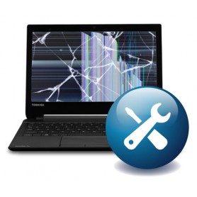 Dynabook OOW100EU-VB estensione della garanzia (OOW100EU-VB)