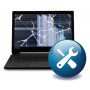 Dynabook OOWO100EU-VC estensione della garanzia (OOWO100EU-VC)