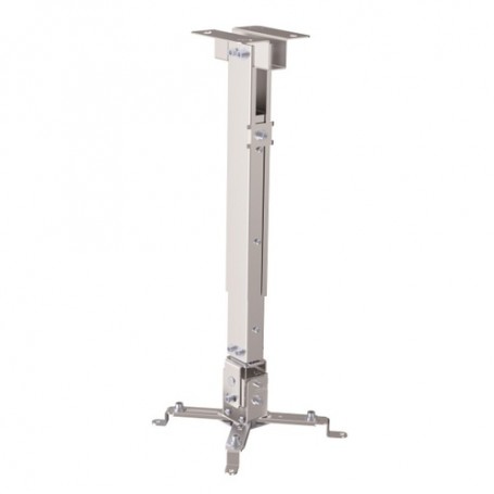 Ewent EW1530 supporto per proiettore Soffitto Argento (CECA-SPV-1001) (CEEW1530)