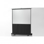 Celexon 1090363 schermo per proiettore 1:1 (1090363)