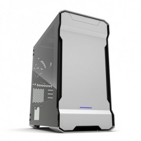 Phanteks Enthoo Evolv mATX Micro Tower Argento (PH-ES314ETG_GS)