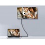 Equip 119332 Cavo DisplayPort 1.2, 2,0 m, 4K/60Hz