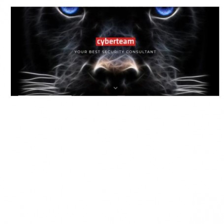 ANTIMALWARE DEFENDER ADV (101-250) (CT-WF-ADV-250)