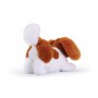CAVALIER KING MARLEY