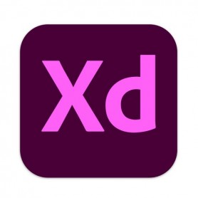 XD PRO TEAMS ML SUB R