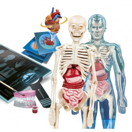 ANATOMIA SUPER (19299)