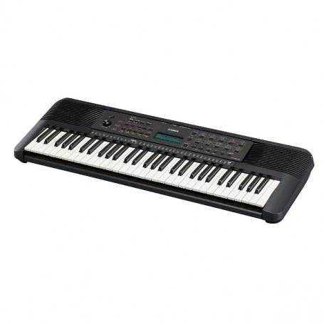 TASTIERA PORTATILE PSR-E273 (SPSRE273)