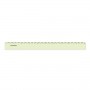 RIGA 30CM  PLASTICA ECO SOSTENIBILE (RE30)