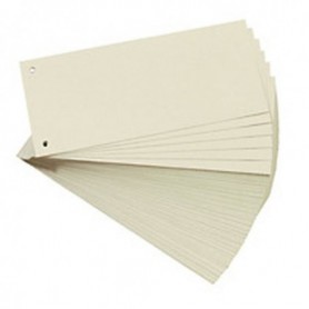 Herlitz 10843621 divisore Cartoncino 100 pz (10843621)