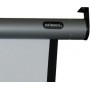 Celexon 1090110 schermo per proiettore 1:1 (1090110)
