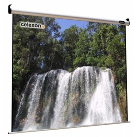 Celexon 1090109 schermo per proiettore 1:1 (1090109)