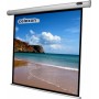 Celexon 1090064 schermo per proiettore 1:1 (1090064)