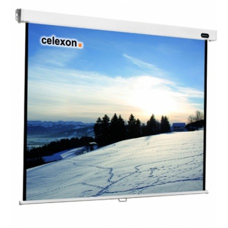 Celexon 1090043 schermo per proiettore 1:1 (1090043)