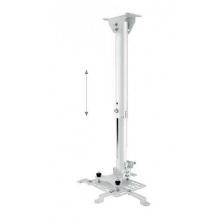Hagor HA BDH supporto per proiettore Soffitto Acciaio inossidabile (5807)