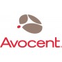 Vertiv Avocent 1YGLD-LCD tassa di manutenzione e supporto 1 anno/i (1YGLD-LCD)