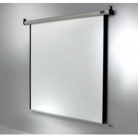 Celexon 1090111 schermo per proiettore 1:1 (1090111)