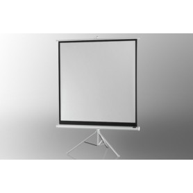 Celexon 1090268 schermo per proiettore 1:1 (1090268)