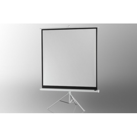 Celexon 1090268 schermo per proiettore 1:1 (1090268)