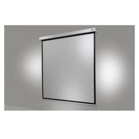 Celexon 1090774 schermo per proiettore 1:1 (1090774)