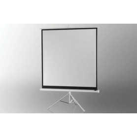 Celexon 1090266 schermo per proiettore 4:3 (1090266)