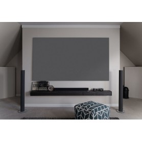 Elite Screens Aeon CineGrey 3D schermo per proiettore 3,05 m (120") 16:9 (AR120DHD3)