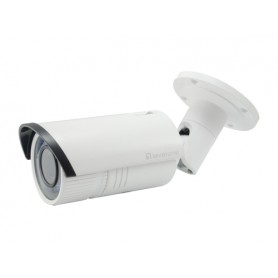 LevelOne FCS-5059 telecamera di sorveglianza Telecamera di sicurezza IP Interno e esterno Capocorda 1920 x 1080 Pixel (FCS-5059)