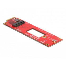 DeLOCK 63797 scheda di interfaccia e adattatore (63797)
