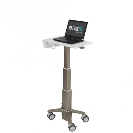 Ergotron C50-1100-0 supporto per notebook 39,6 cm (15.6") Supporto per computer portatile Grigio (C50-1100-0)
