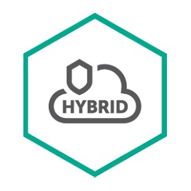 Kaspersky Lab Hybrid Cloud Security (KL4253XAEDS)