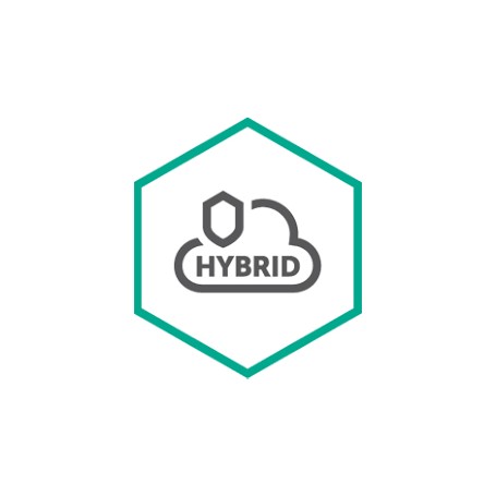 Kaspersky Lab Hybrid Cloud Security (KL4253XACTS)