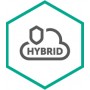 Kaspersky Lab Hybrid Cloud Security (KL4253XAKTS)